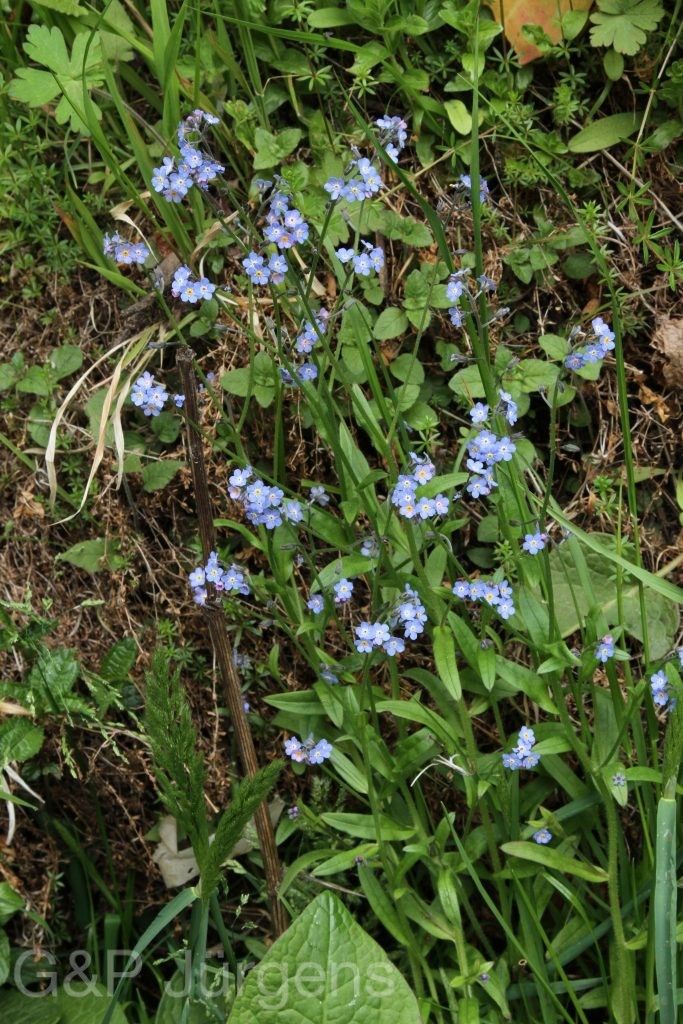 Bhutan2014 1055