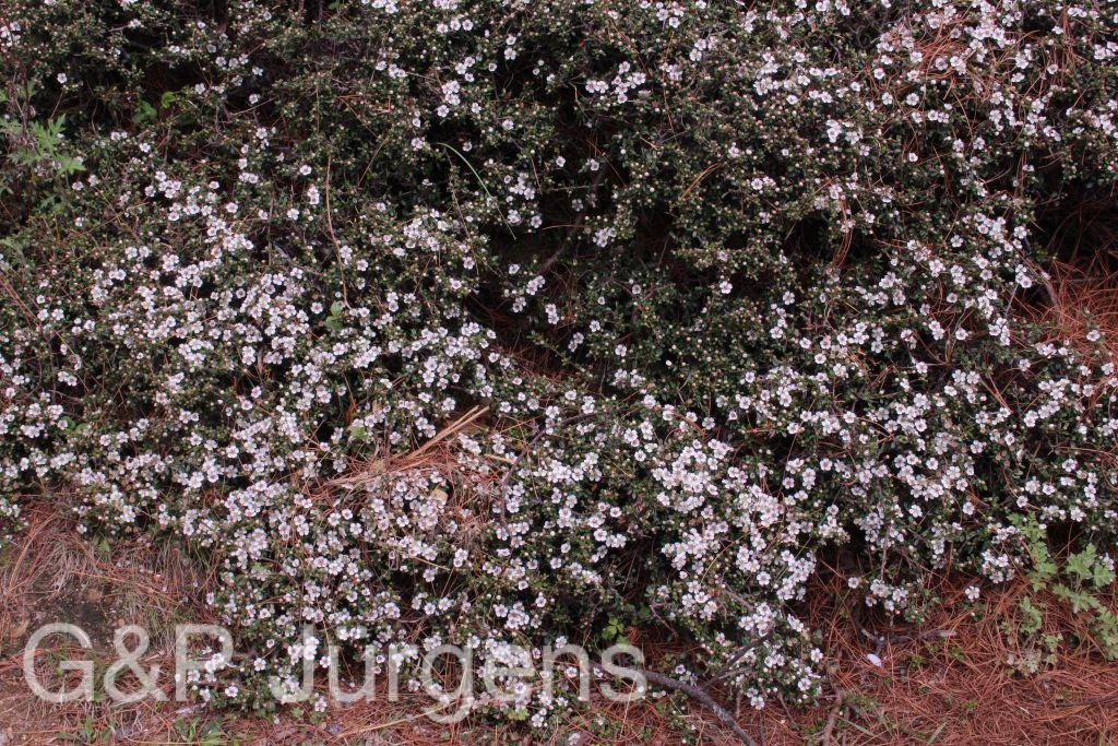 Bhutan2014 409