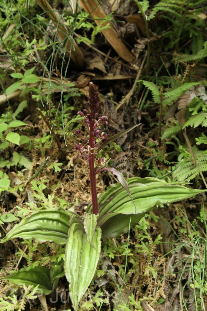 Bhutan2014 784