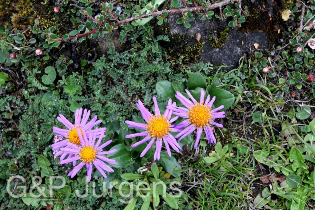 BhutanPG2011 475