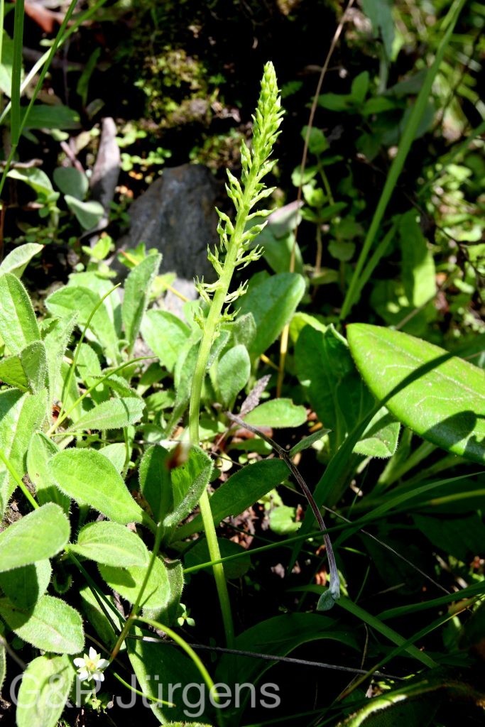 BhutanPG2011 788 01 01