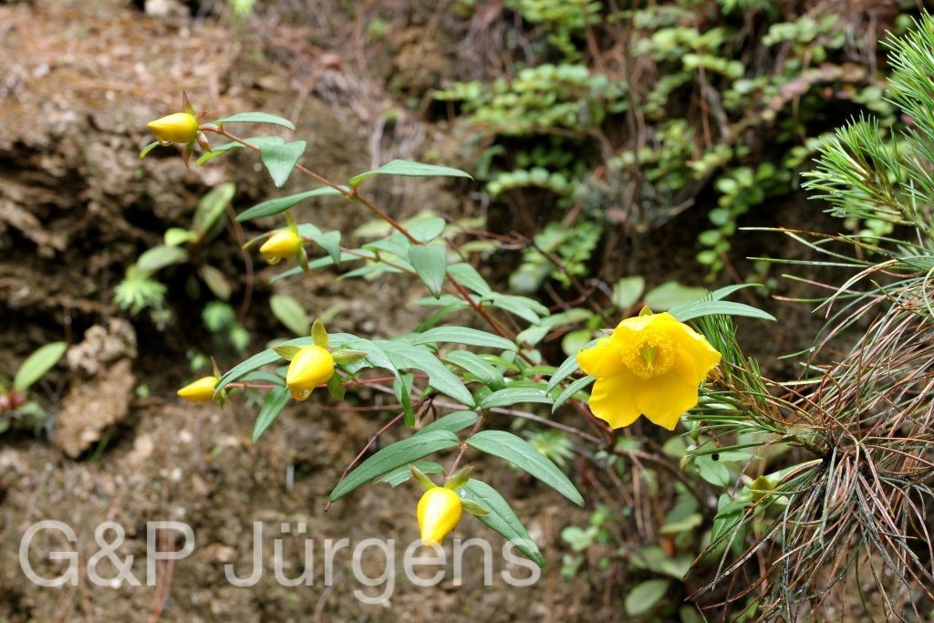 BhutanPG2011 824 01 01