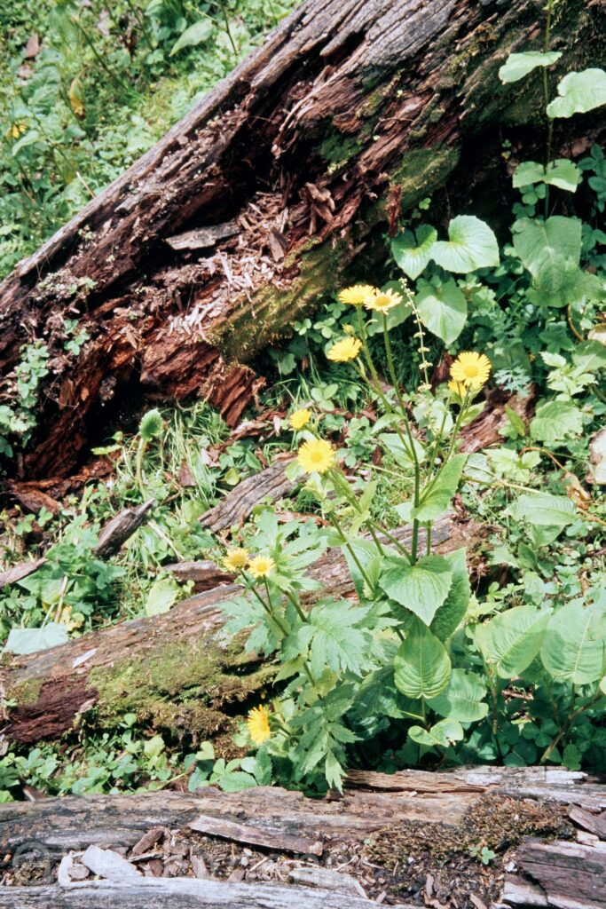 Garh 07 333 ergebnis