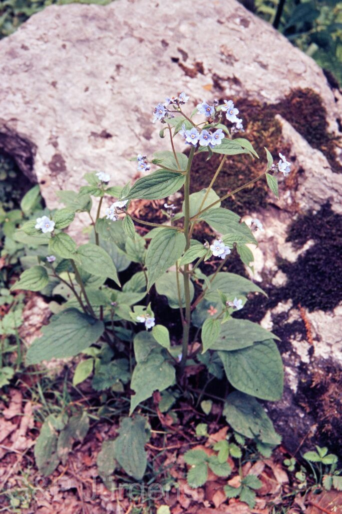 Garh 07 336 ergebnis