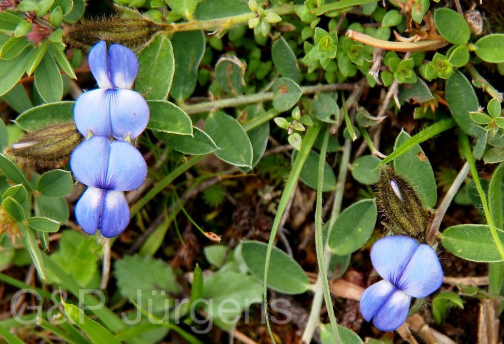 Bhutan2012 190