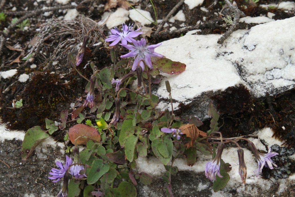 Bhutan2012 260