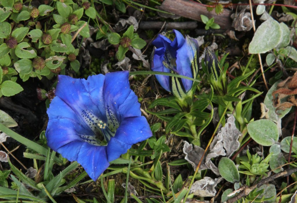 Bhutan2012 280