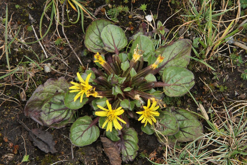 Bhutan2012 281
