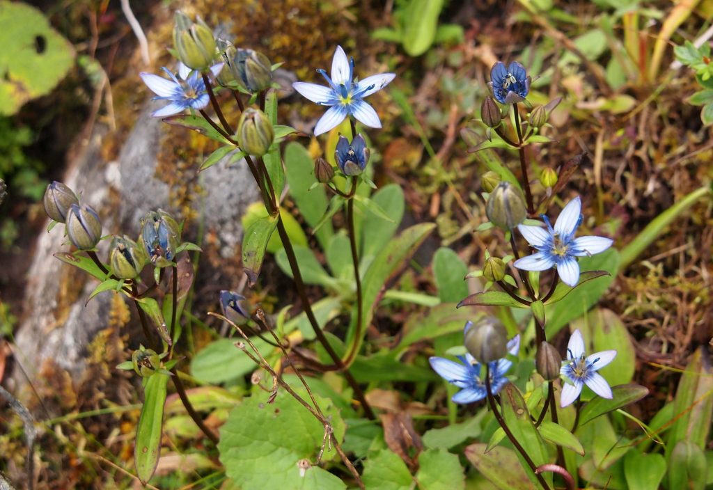 Bhutan2012 299