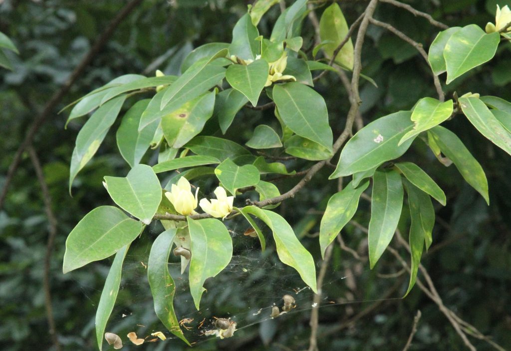 Bhutan2012 435