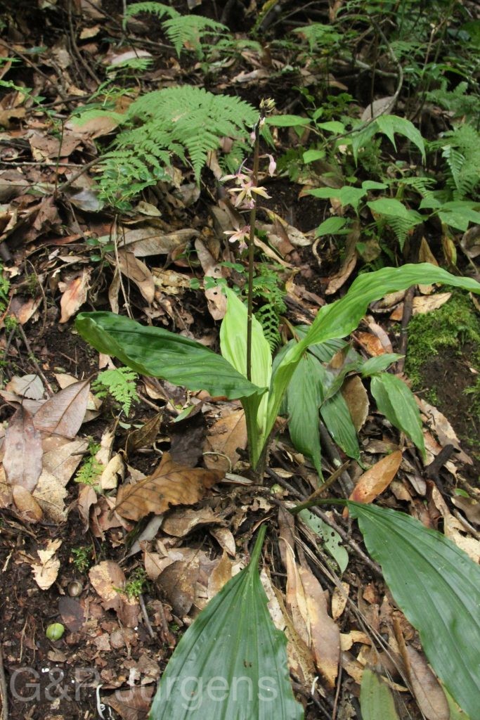 Bhutan2012 448