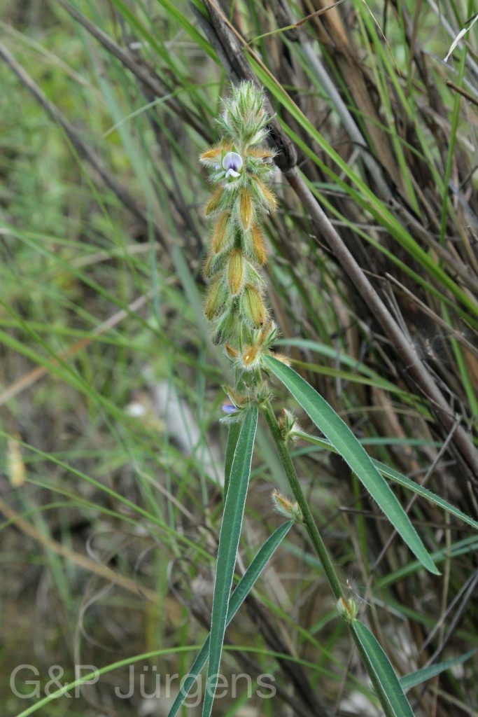 Bhutan2012 625