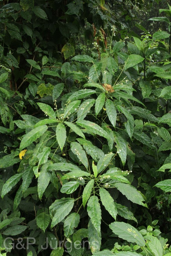 Bhutan2012 684