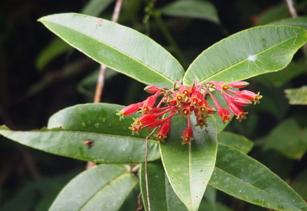 Bhutan2012 698