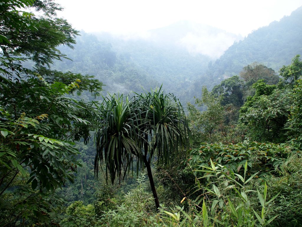 Bhutan2012 749