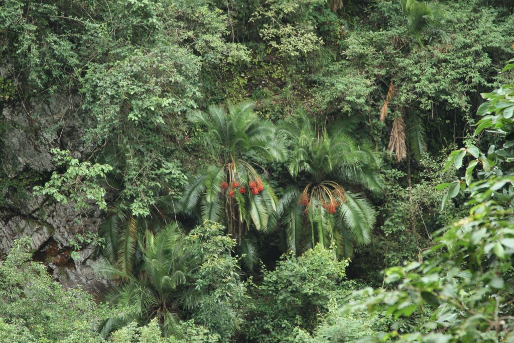 Bhutan2012 770