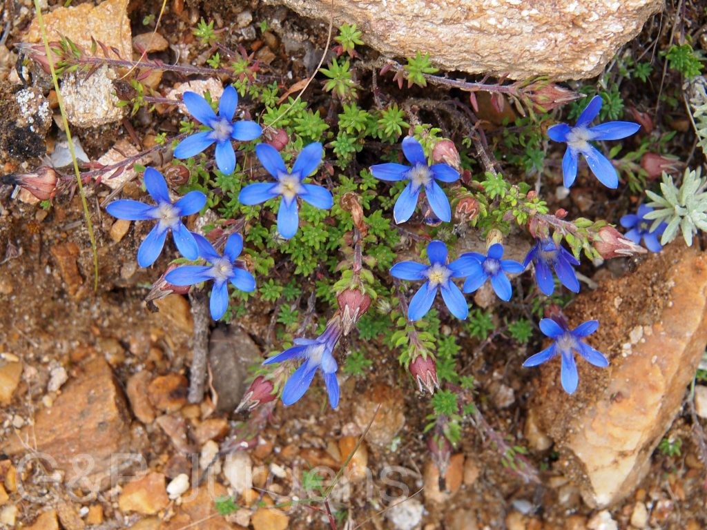 Bhutan2012 84