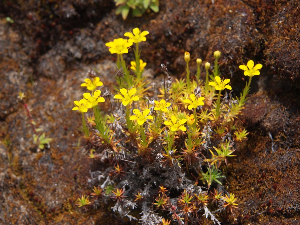 Bhutan2012 897