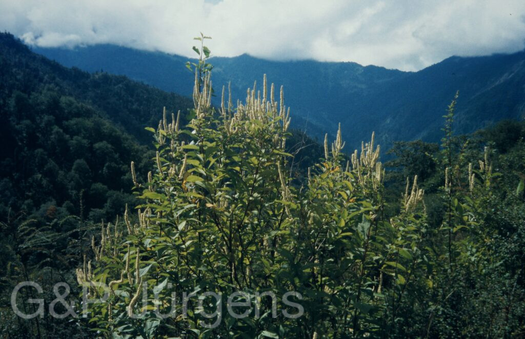 Garw 2005 203 ergebnis ergebnis
