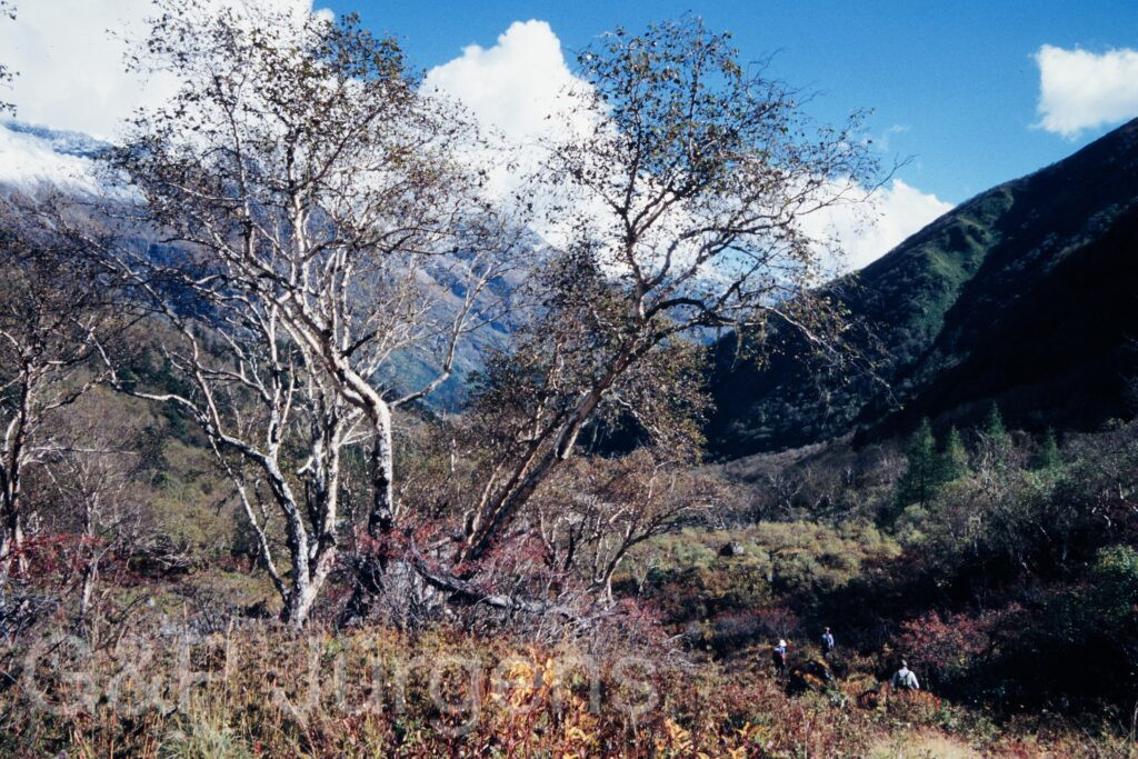 Nepal 95 182 P303 ergebnis