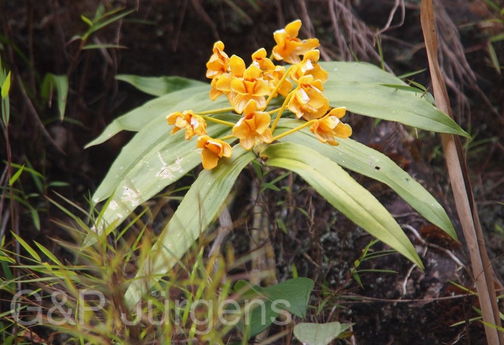 Bhutan2012 755