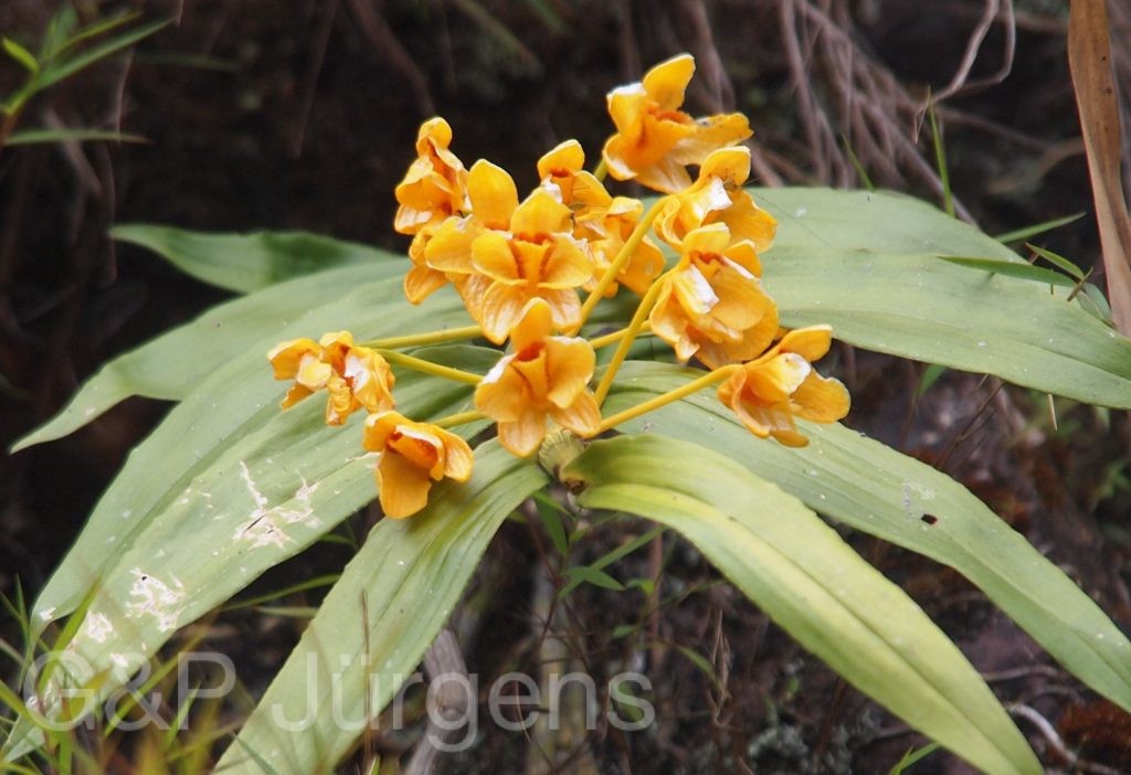Bhutan2012 756
