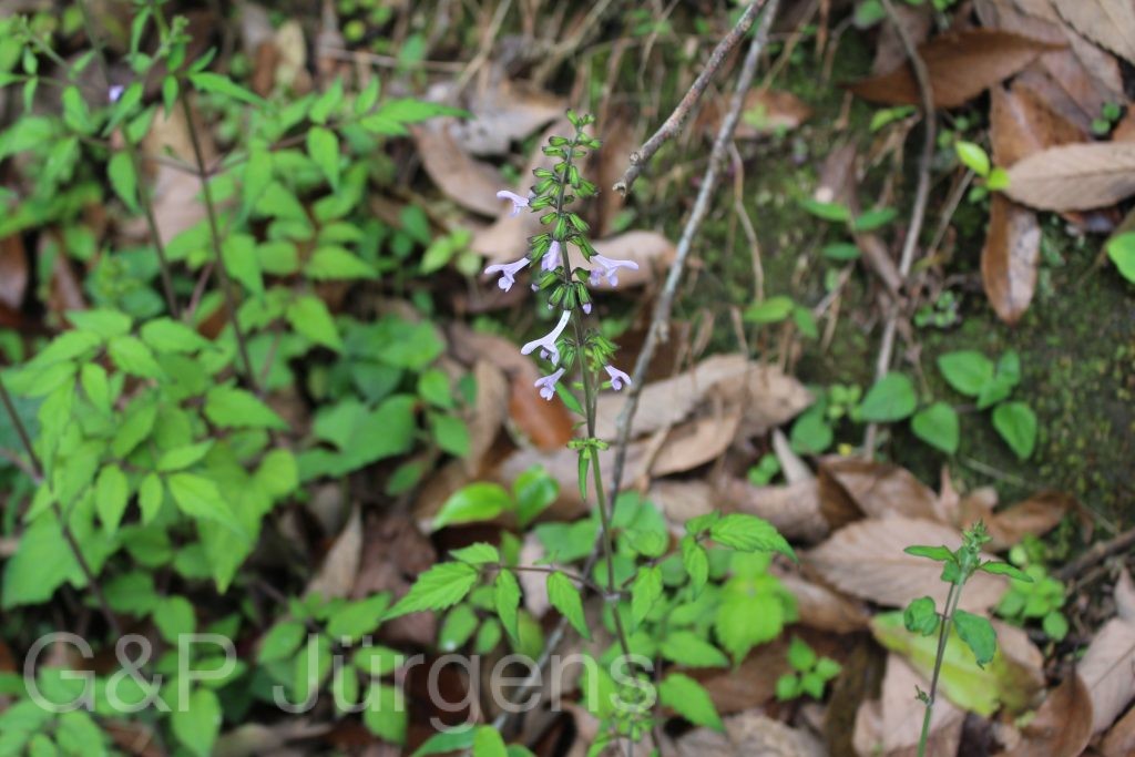 Bhutan2014 163