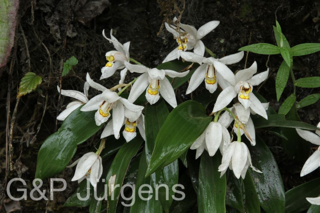 Bhutan2014 19