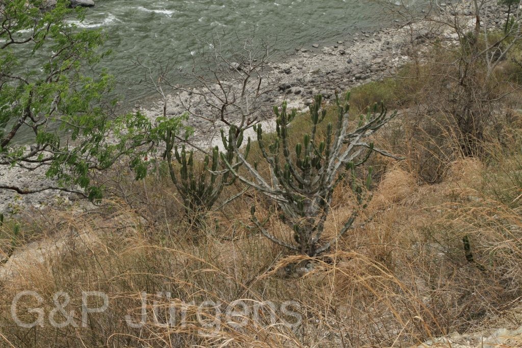 Bhutan2014 202