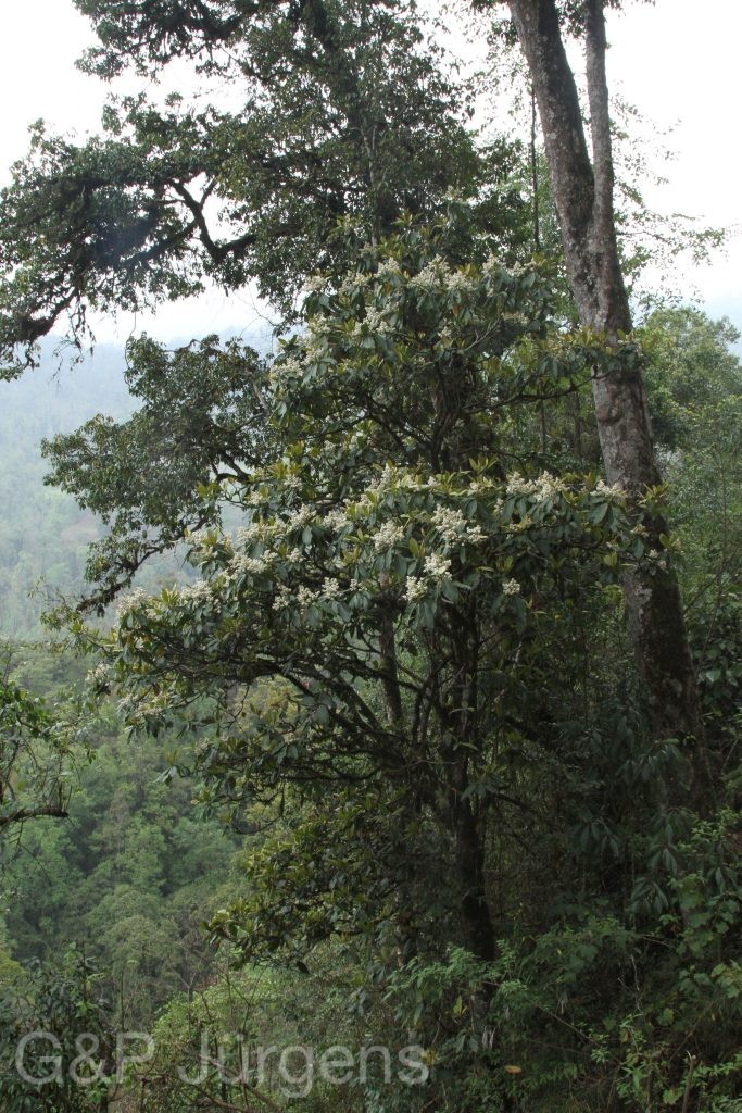 Bhutan2014 207