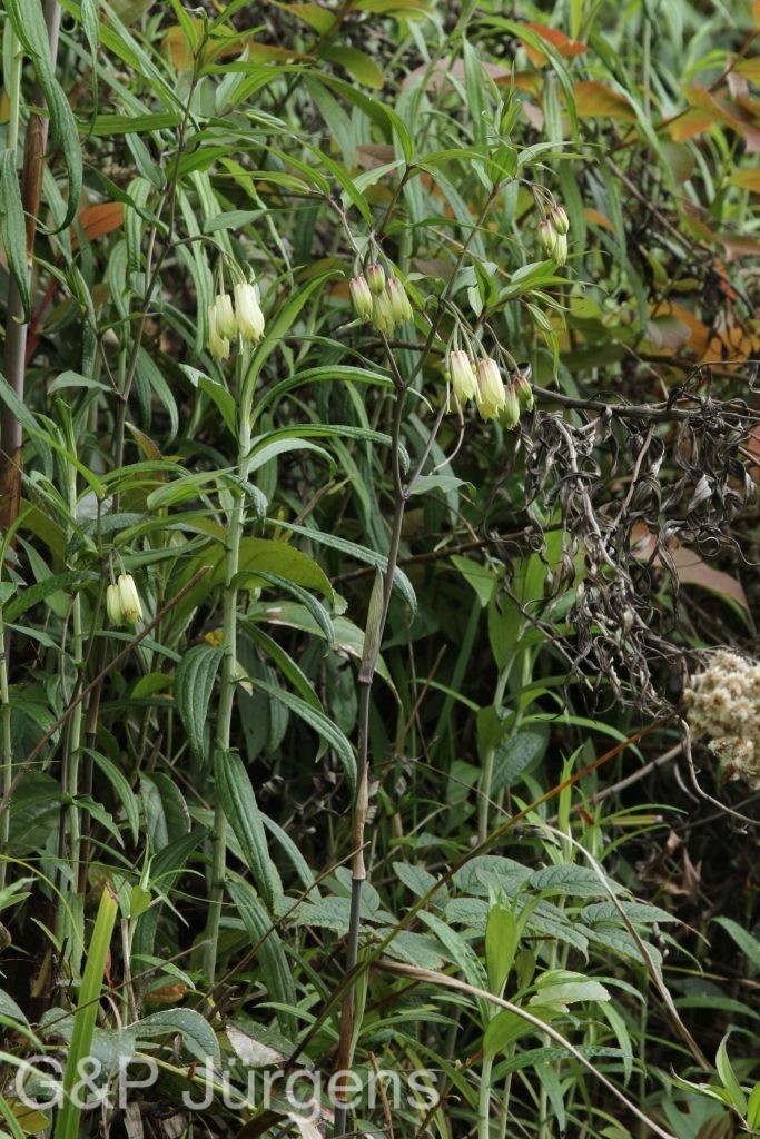 Bhutan2014 215