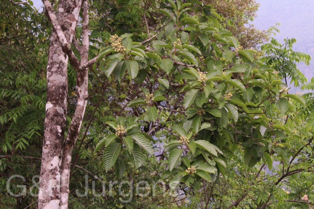 Bhutan2014 276