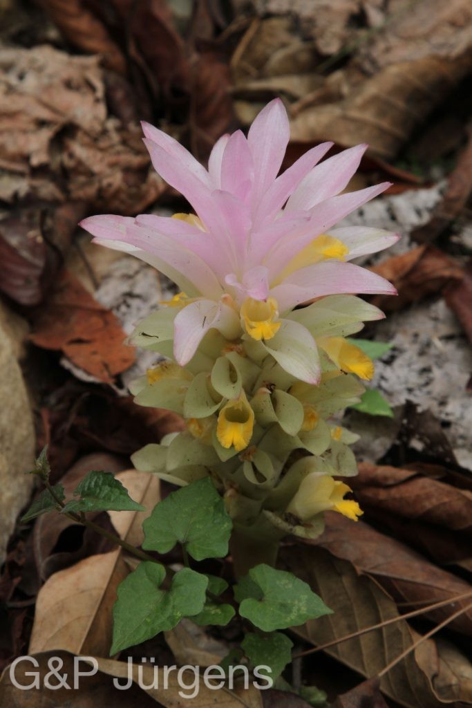 Bhutan2014 285