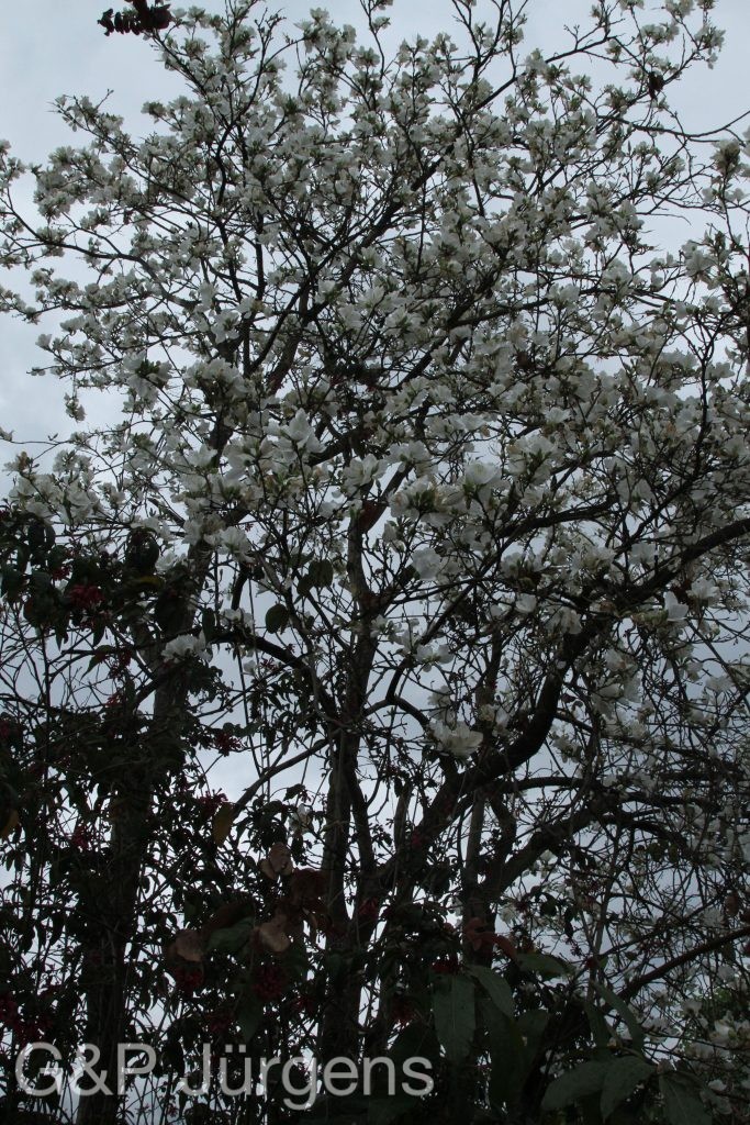 Bhutan2014 45