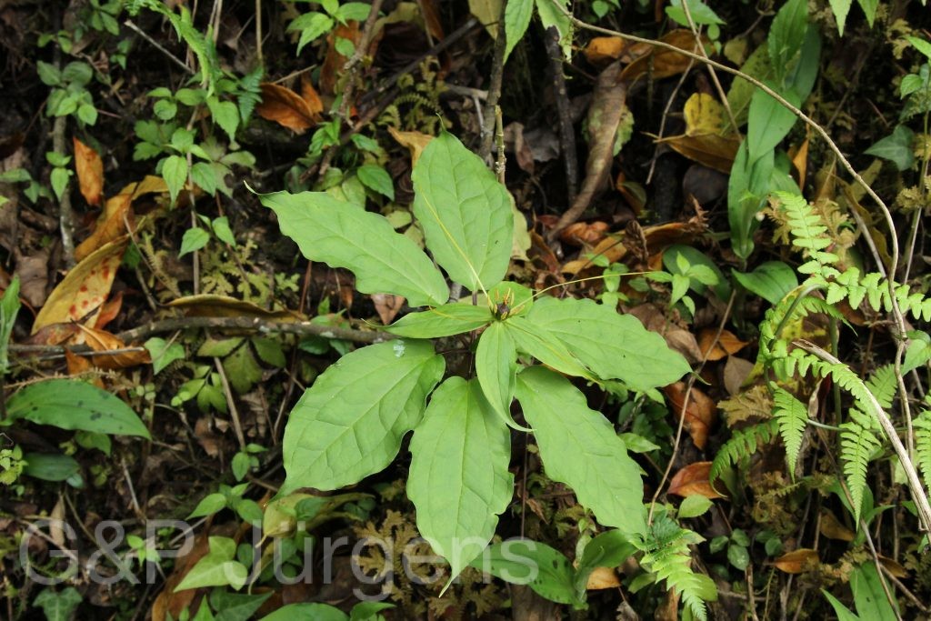 Bhutan2014 469