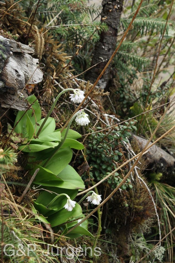 Bhutan2014 578