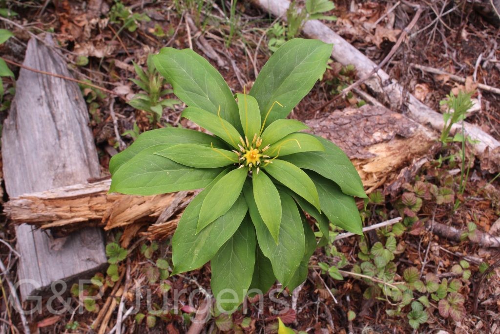 Bhutan2014 586