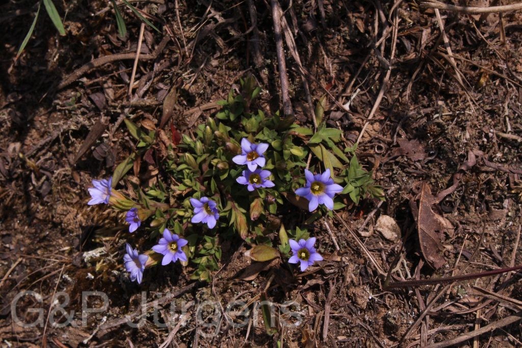 Bhutan2014 670