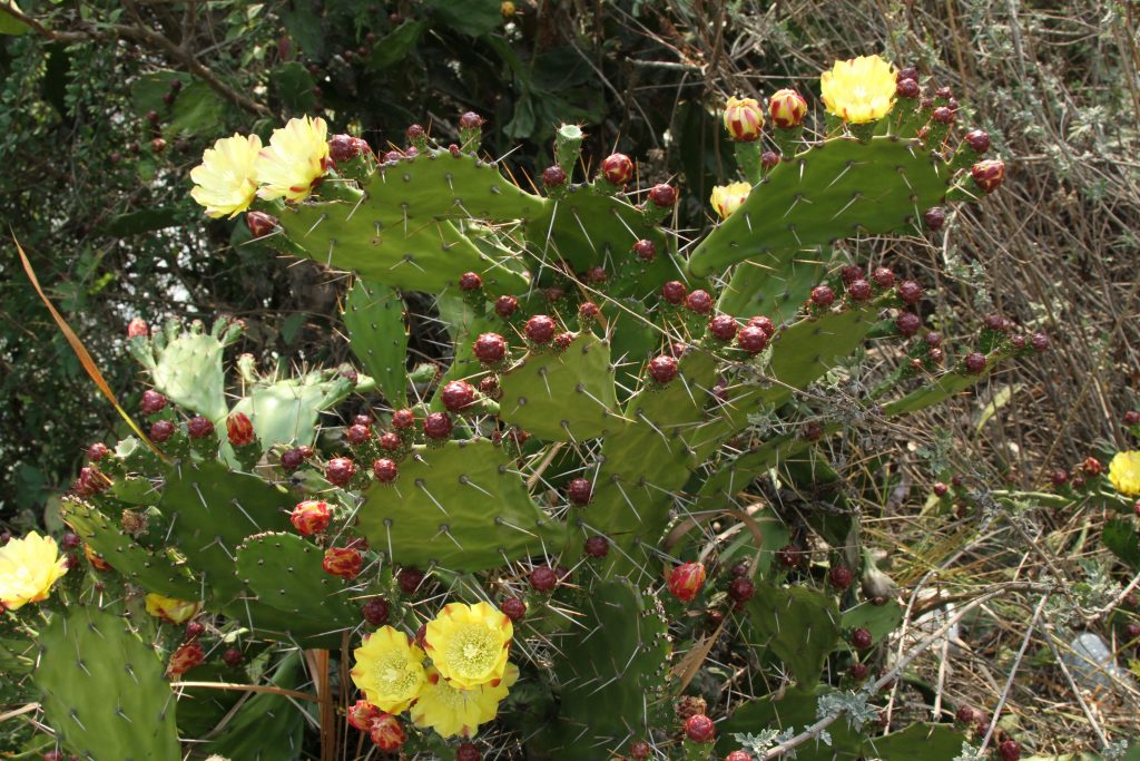 Bhutan2014 693