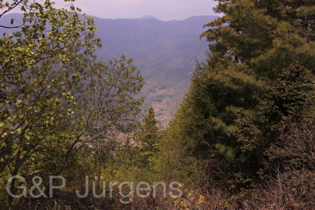 Bhutan2014 957