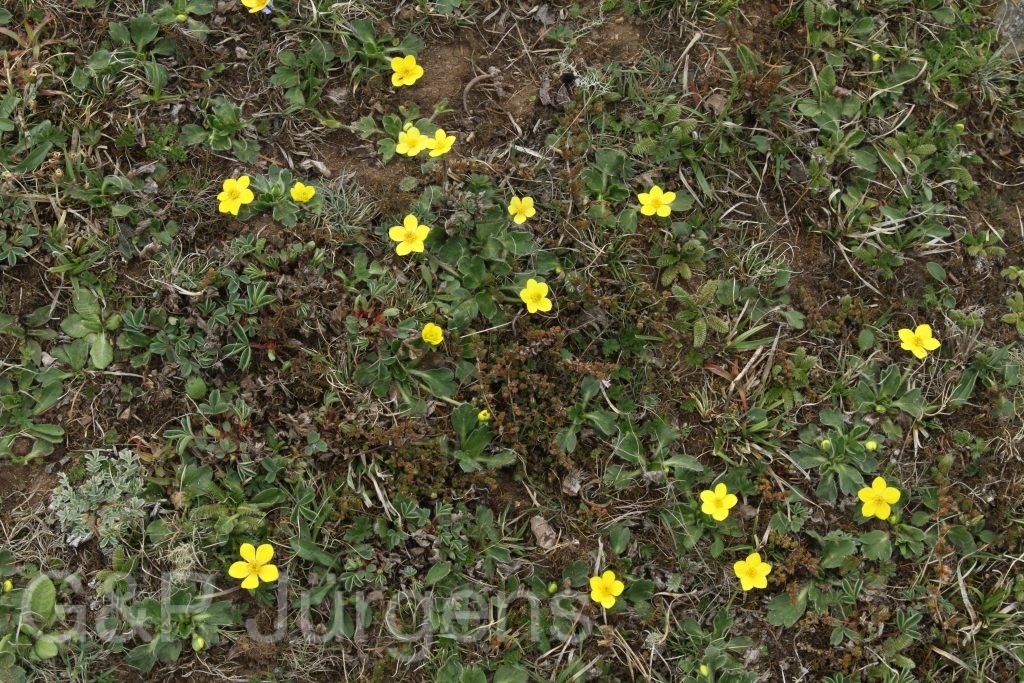 Bhutan2014 983