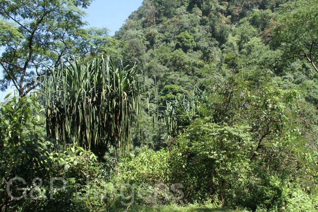 Bhutan2015 127