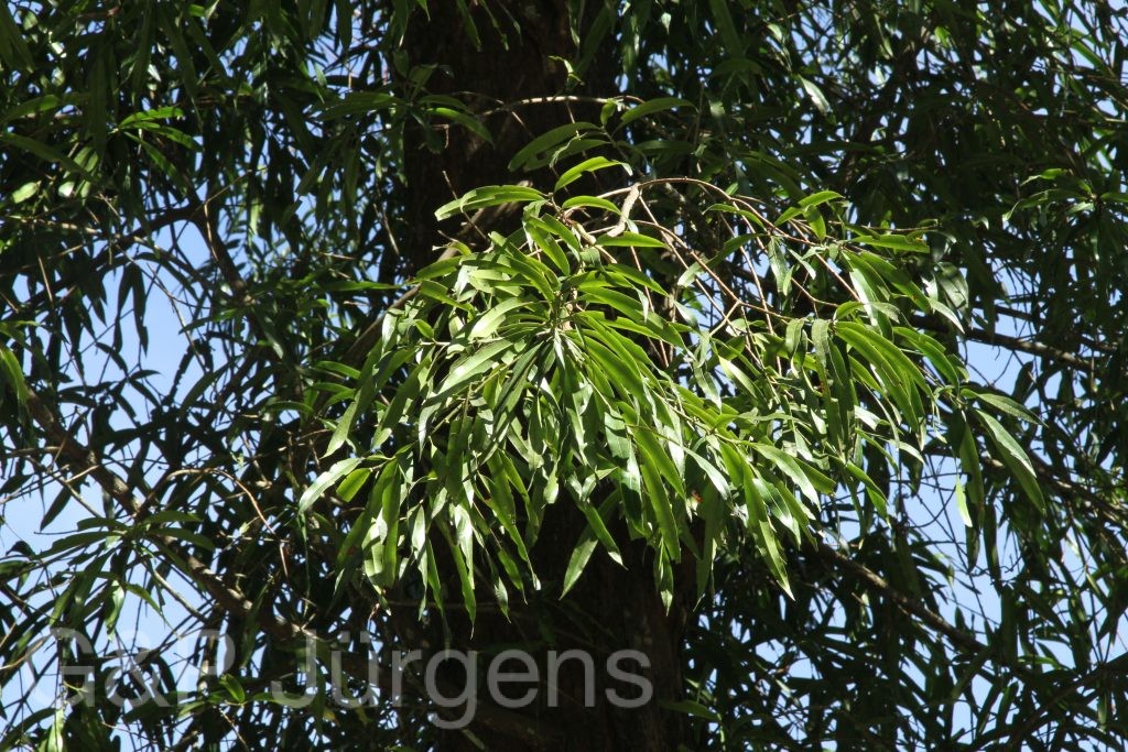 Bhutan2015 188