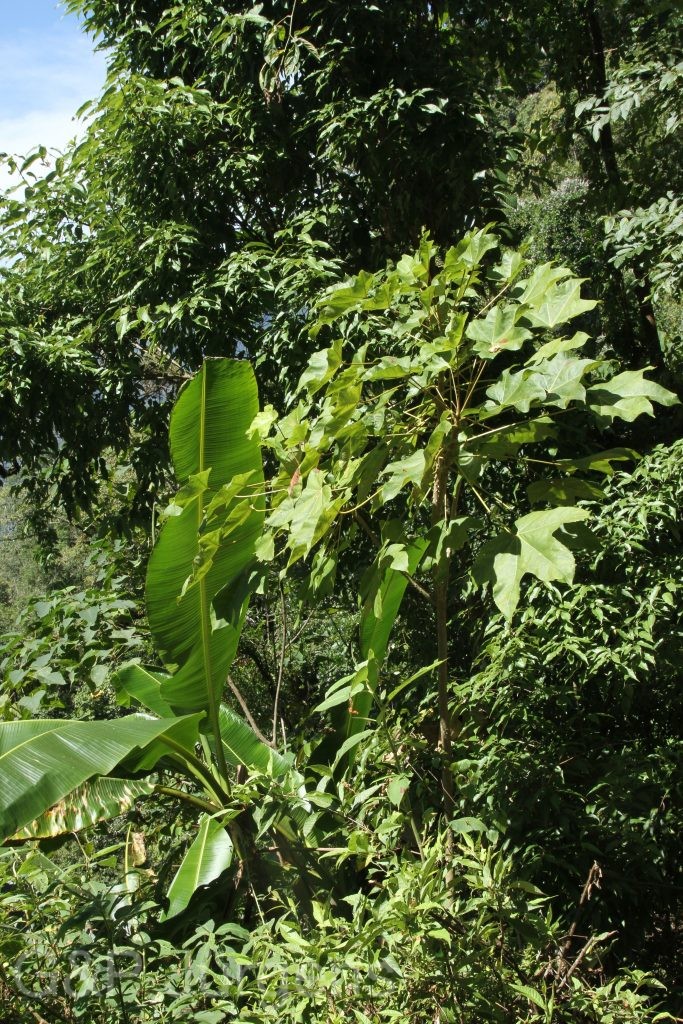 Bhutan2015 205