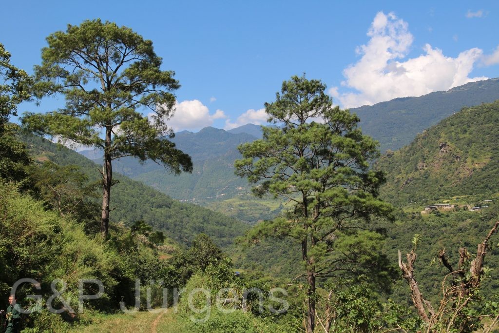 Bhutan2015 312