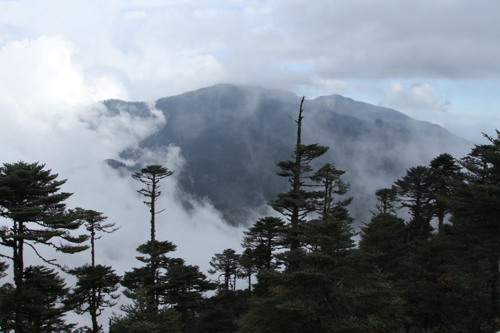 Bhutan2015 402