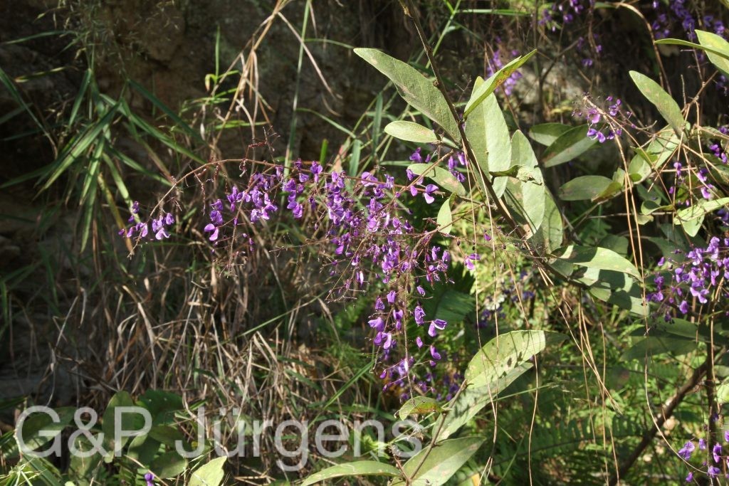 Bhutan2015 544
