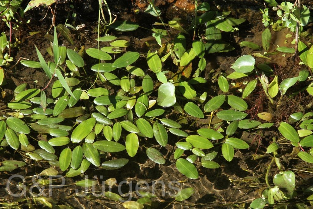 Bhutan2015 560