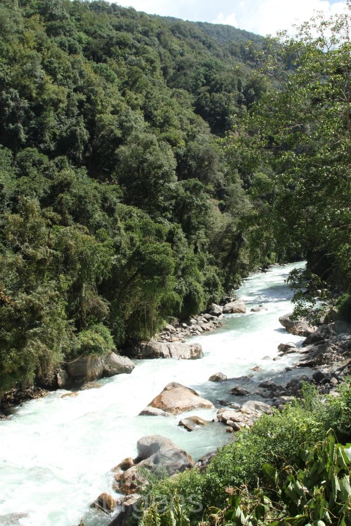 Bhutan2015 572