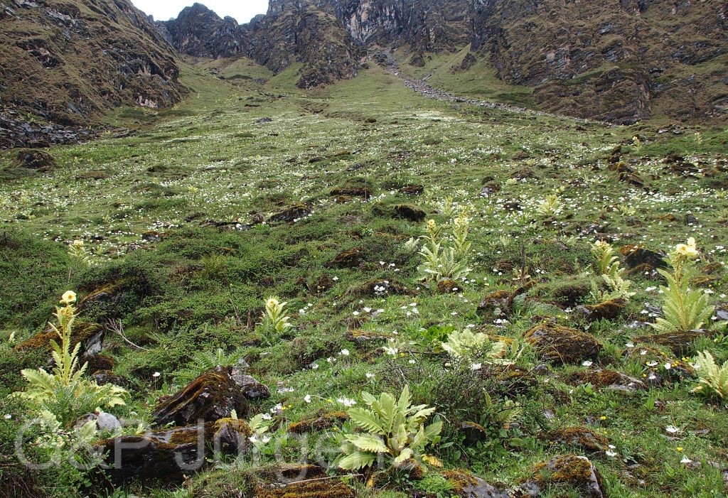 BhutanPG2011 321